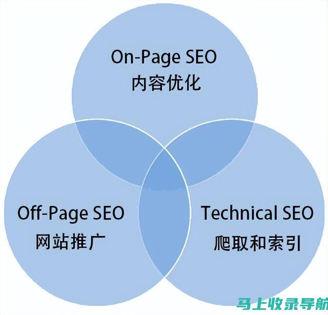 SEO新手宝典：从入门书籍开始迈向优化大师之路