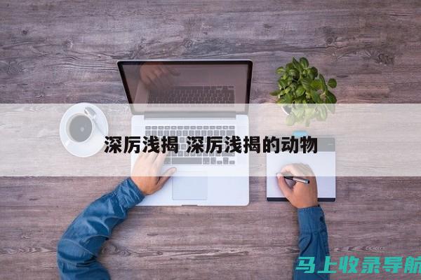 深入浅出：免费SEO优化网站的有效策略与实战案例